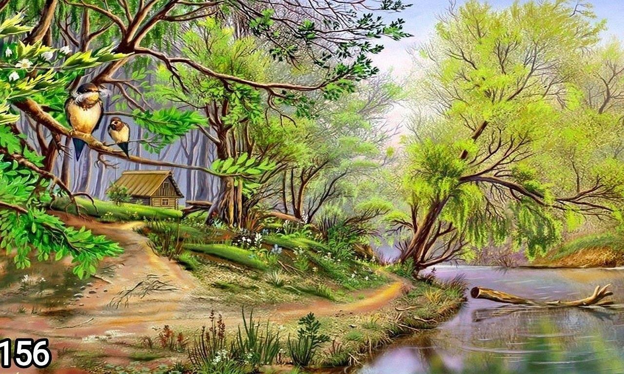 156 - 50x40cm