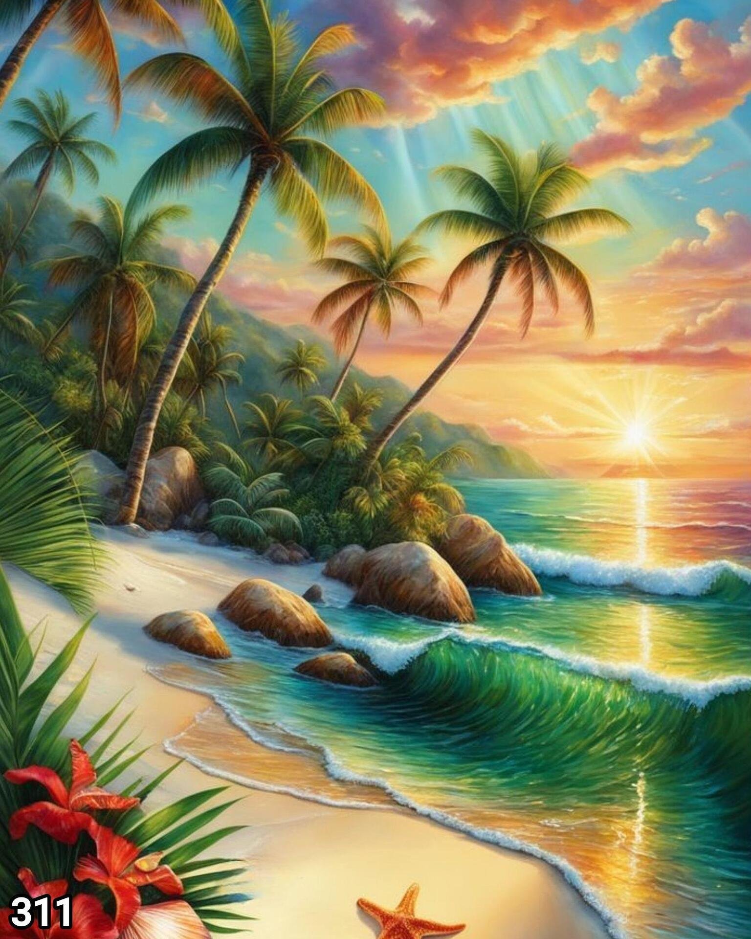 311 50x40cm