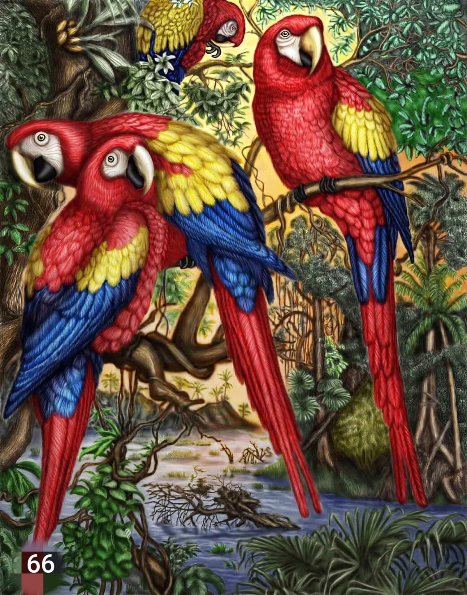 66 - 30x40cm