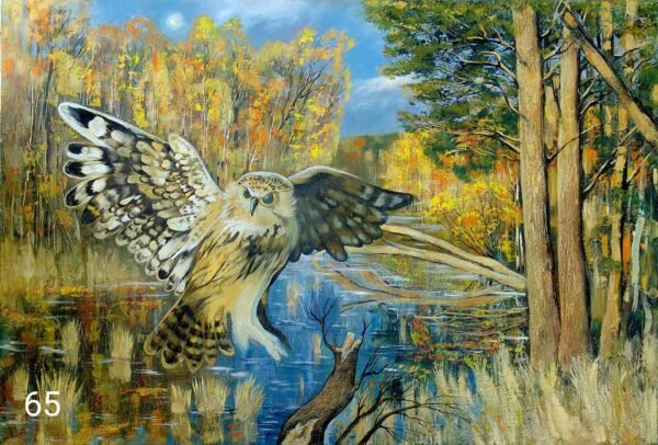 65 - 50x40cm