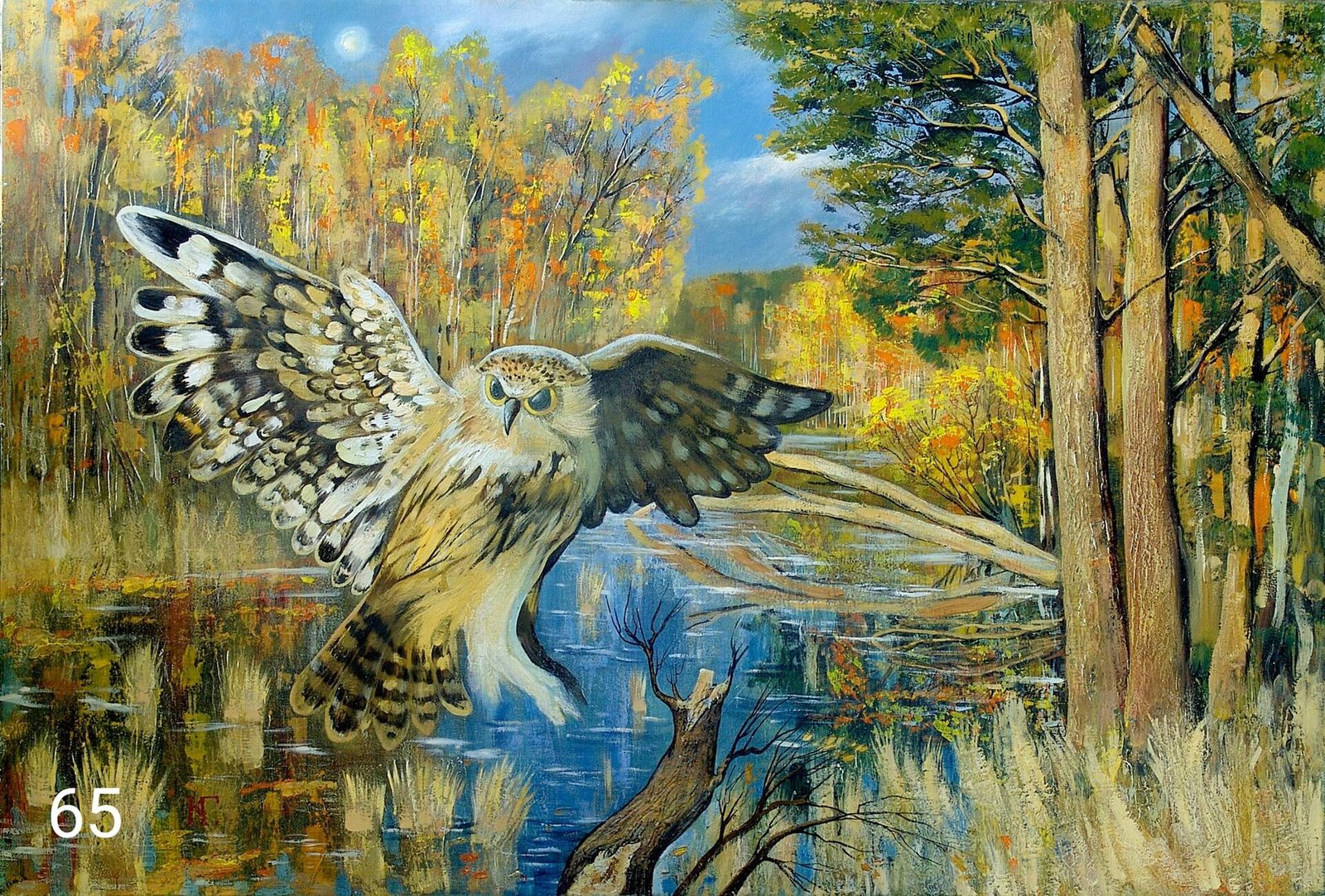 65 - 50x40cm