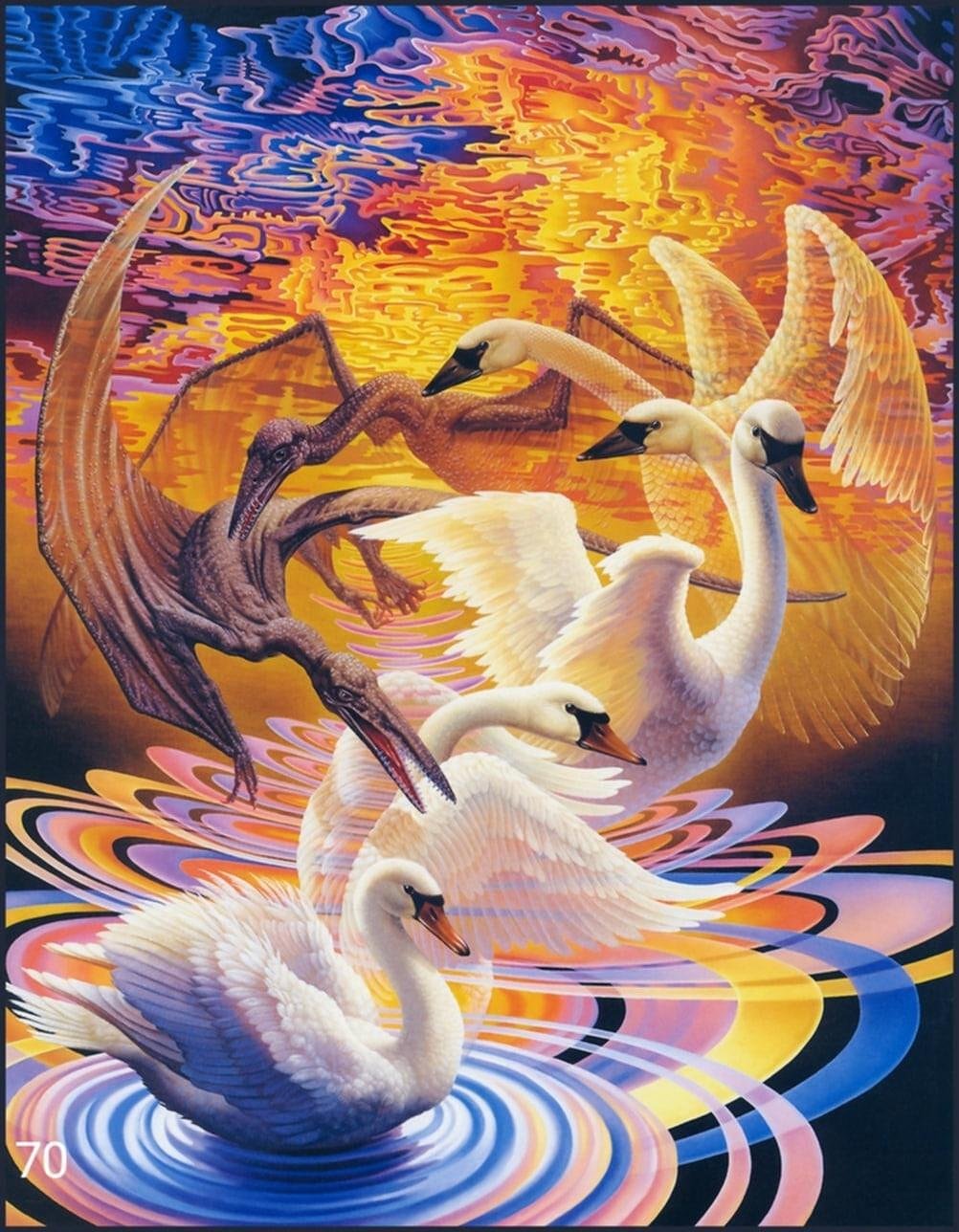 70 - 50x40cm